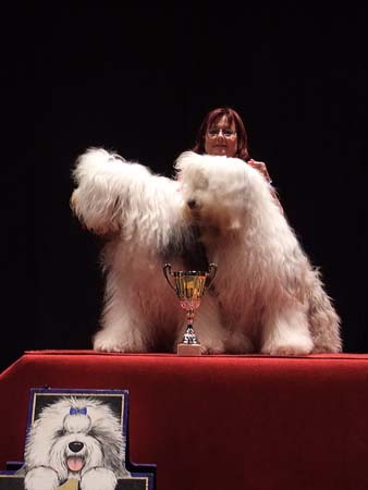 83