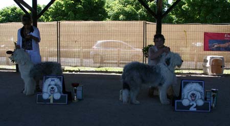 06_CLASSE PUPPY FEMELLE