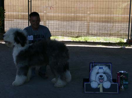 07_CLASSE PUPPY MALE