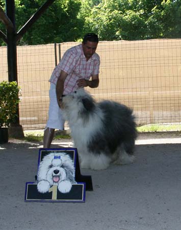 36_CLASSE CHAMPION MALE