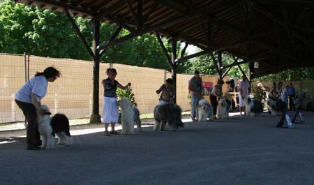 40_TOUS LES MEILLEURS