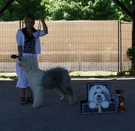 41_MEILLEURE PUPPY