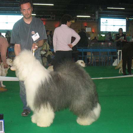 exp-montlucon2008-005
