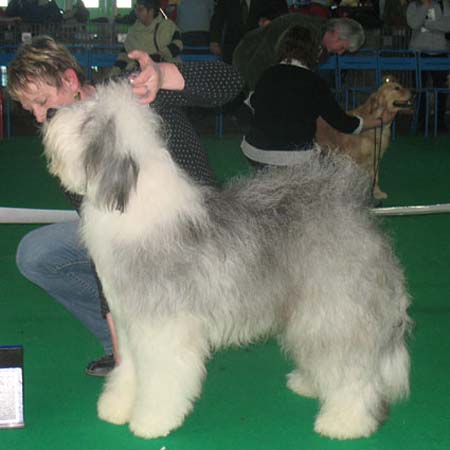 exp-montlucon2008-009