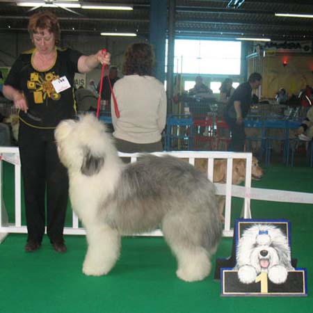 exp-montlucon2008-010