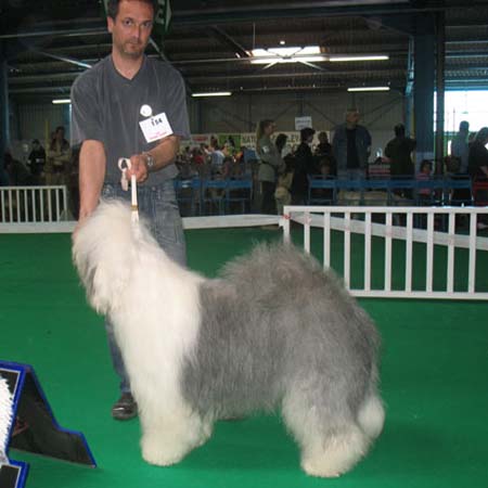 exp-montlucon2008-013