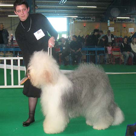 exp-montlucon2008-014