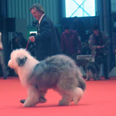 exp-montlucon2008-030