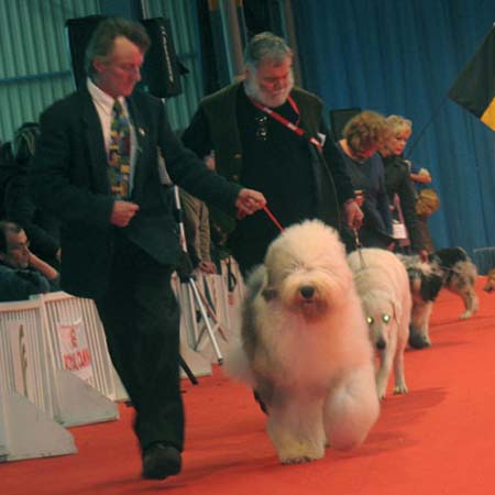 exp-montlucon2008-033
