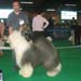 exp-montlucon2008-005