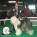 exp-montlucon2008-006