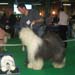 exp-montlucon2008-007