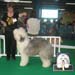 exp-montlucon2008-010