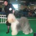 exp-montlucon2008-014