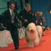 exp-montlucon2008-033